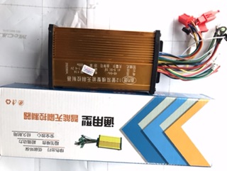 Ic điều tốc xe máy điện 800W ( dùng cho xe điện 48v và 60v)