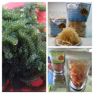 Combo 2kg rong sụn,1 kg rong nho, 1 gói kim chi