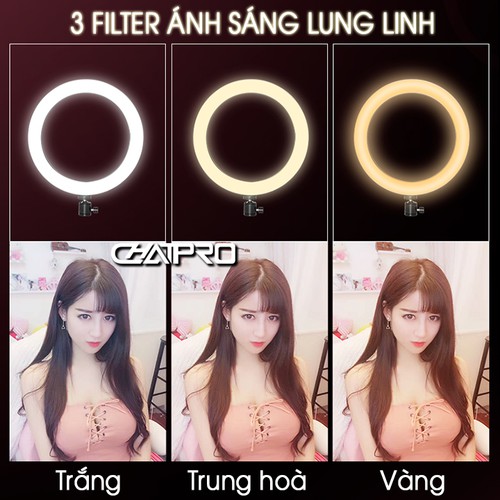 Đèn led ring livestream, chụp ảnh, makeup 26cm CN-R640-Giá đỡ livestream