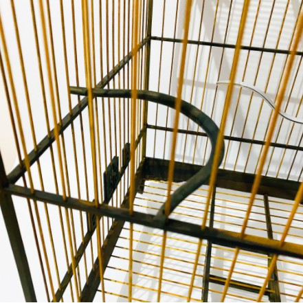 Cầu đứng chim Halosung cầu chim chào mào cầu góc gỗ phụ kiện lồng chim PK47
