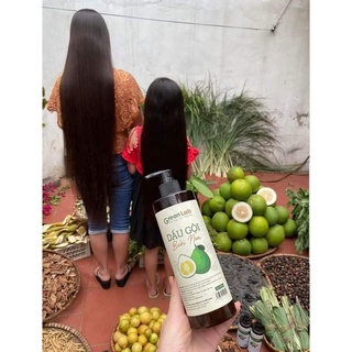 Dầu gội bưởi non Greenlab