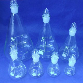 Bình tam giác có nút nhám 100ml
