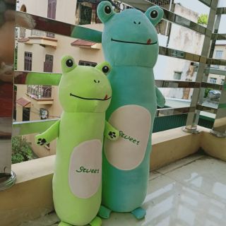 Gấu bông gối ôm ếch xanh loại 80cm