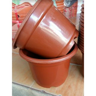 Sét 20 cái chậu trồng cây rộng 24cmx16cm