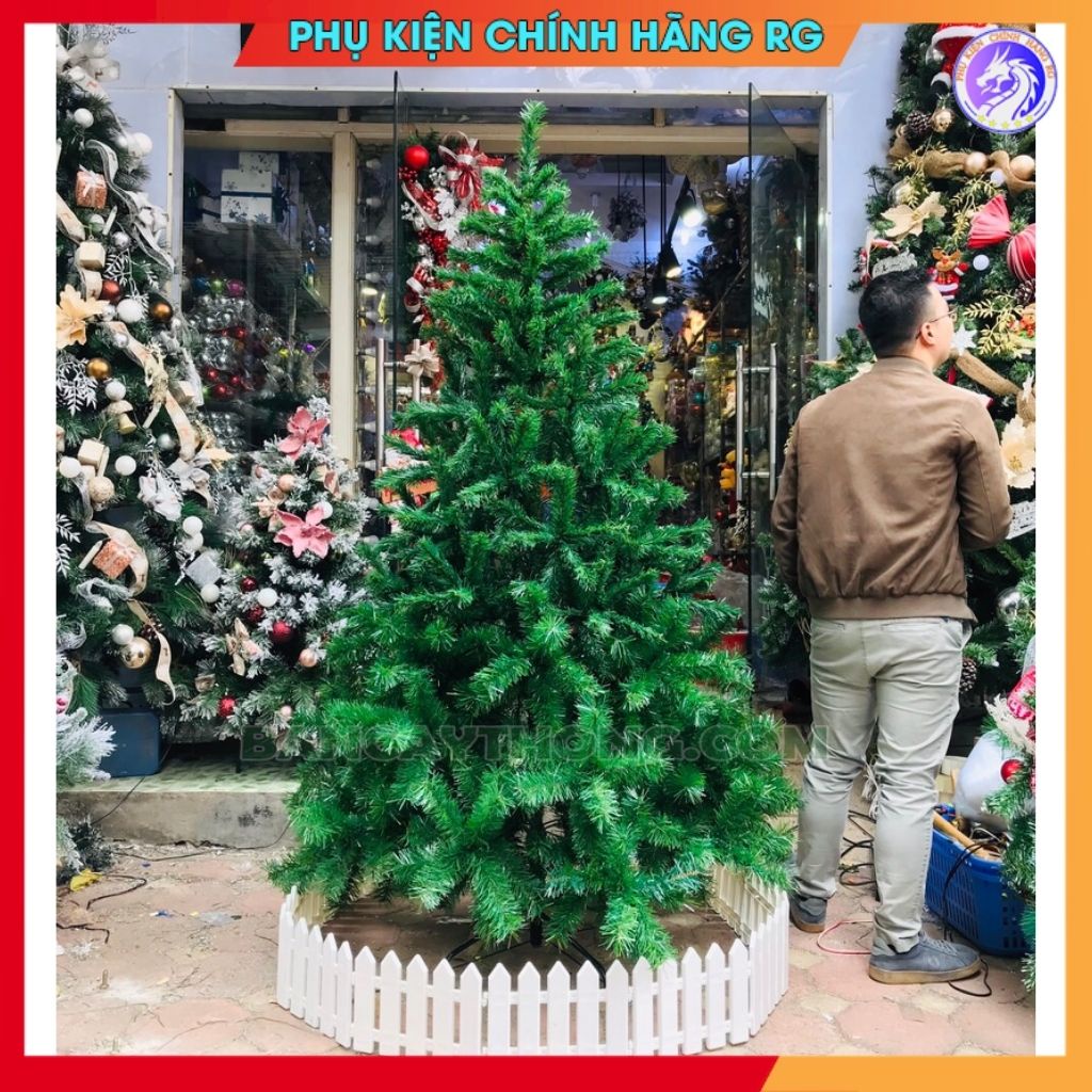 Cây Thông Noel 2m4 Tán Rộng Lá Dày Trang Trí Giáng Sinh Tặng 1 Ngôi Sao Đỉnh và 6 Dây Kim Tuyến