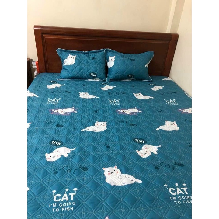 Bộ Ga Trần Bông + 2 Vỏ Gối Trần Bông Cotton Poly Dày Dặn