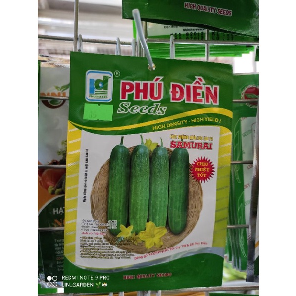 Hạt giống dưa chuột_ sai quả. nhiều thịt. chịu nhiệt tốt
