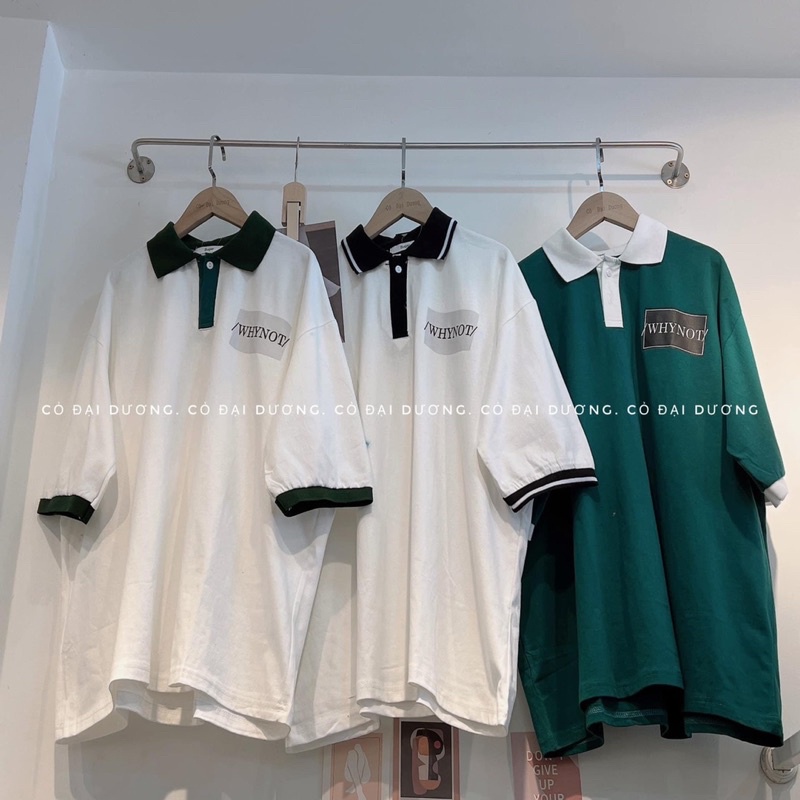 Áo Polo Why not phối cổ TTA866