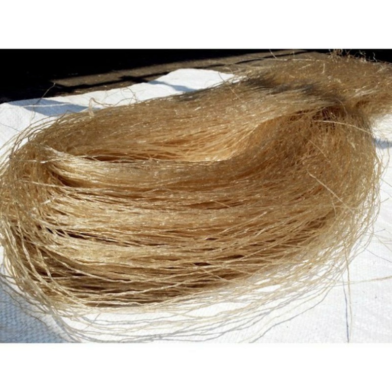 1kg Miến dong Phia đén đặc sản cao bằng (Hàng chuẩn 100%)