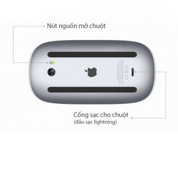 Chuột Apple Magic Mouse 2 Chính Hãng