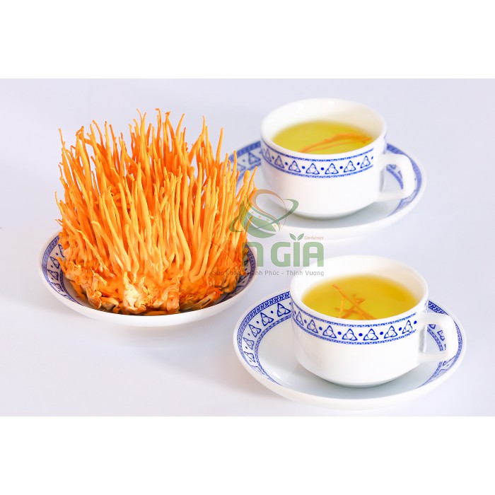 [NÓI KHÔNG VỚI HÀNG NHÁI TỪ TQ] Đông Trùng Hạ Thảo BDAGRI SẤY KHÔ THĂNG HOA LOẠI II (LỌ 20G) - Nuôi trồng tại Việt Nam | BigBuy360 - bigbuy360.vn