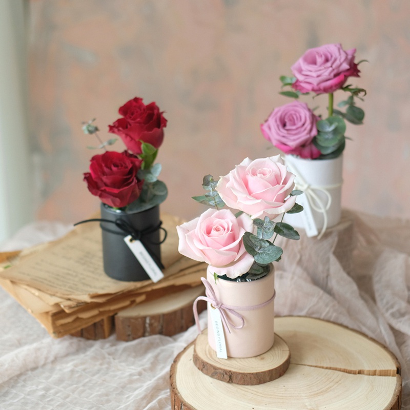 Hộp Quà Mini Hình Hoa Tulip Sáng Tạo