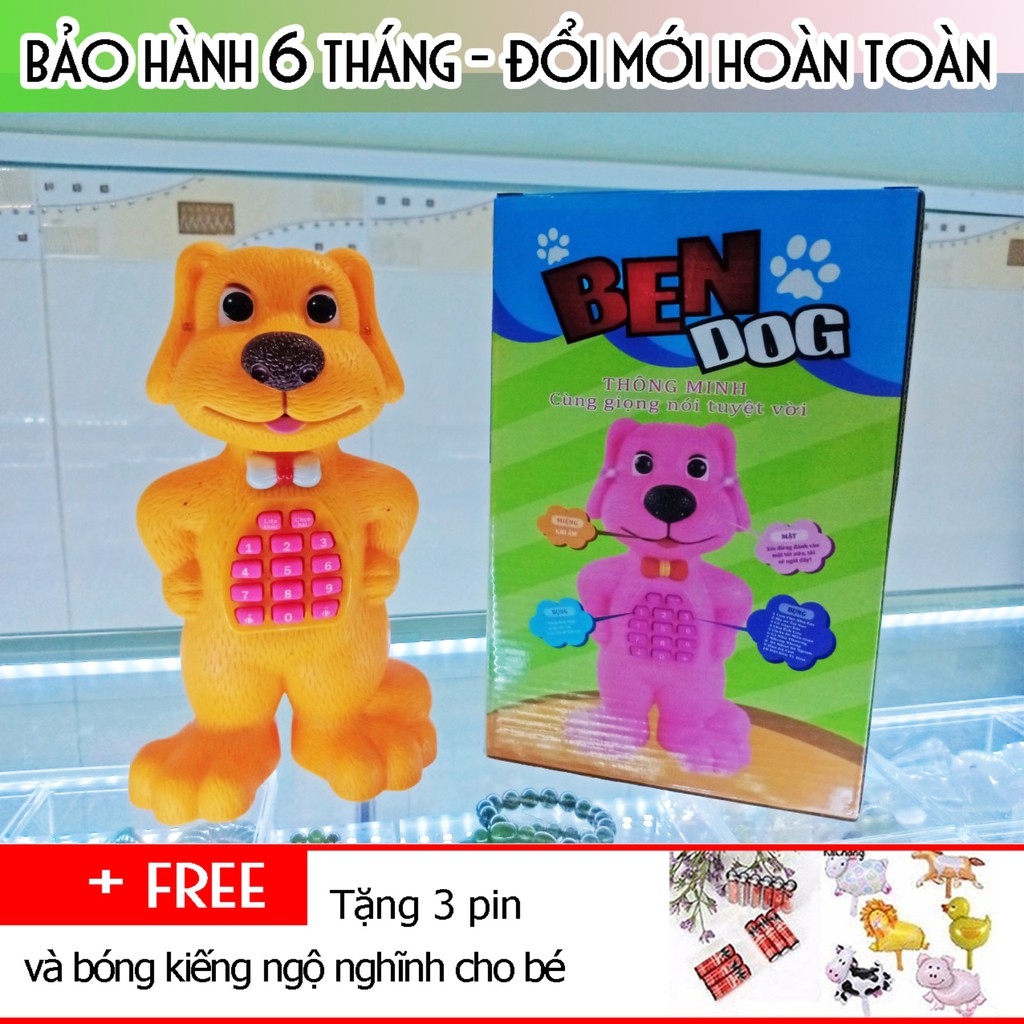 Chó Ben cảm ứng loại lớn, biết nhại giọng nói, hát và kể chuyện