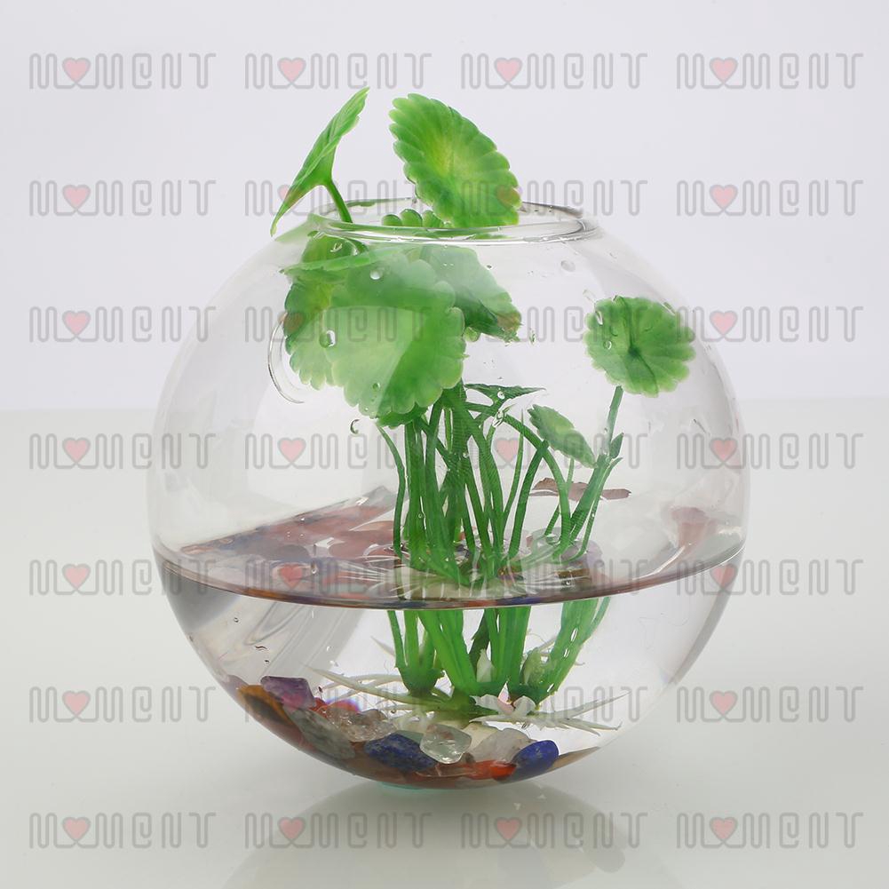 Bình hoa treo tường 8cm