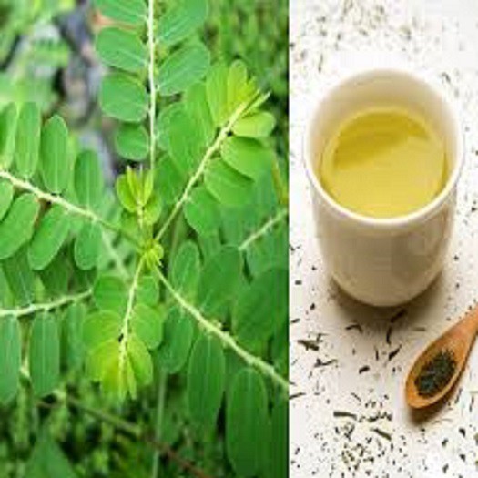 Diệp Hạ Châu Khô ( Chó đẻ răng cưa) 1kg