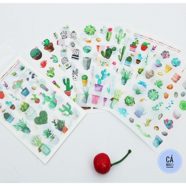 Sticker xương rồng(set6)