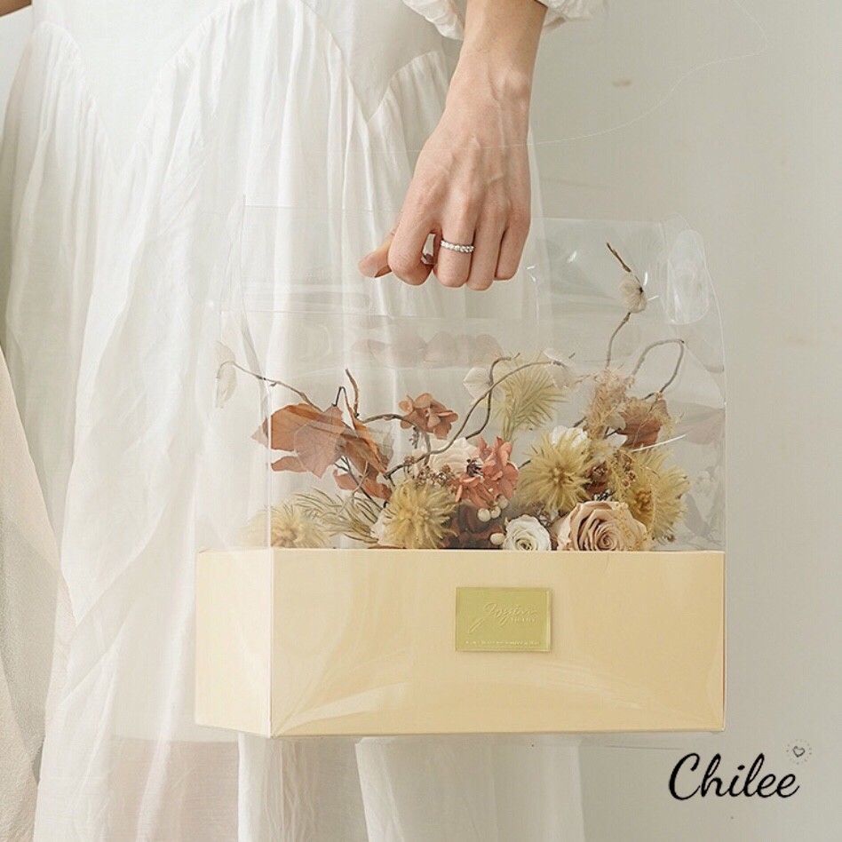 Túi hộp cắm hoa, quà tặng mica Hàn Quốc kiểu mới (set 5c) | BigBuy360 - bigbuy360.vn