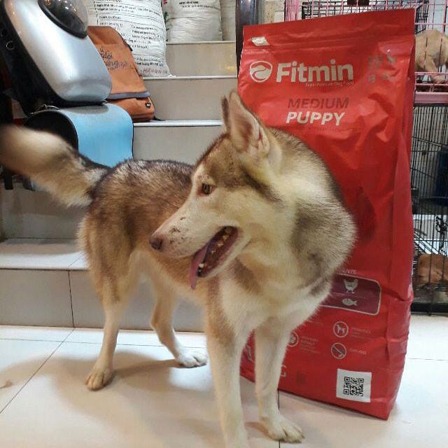 Thức ăn hạt Fitmin Medium cho chó Husky, Bull dog ... túi 3kg