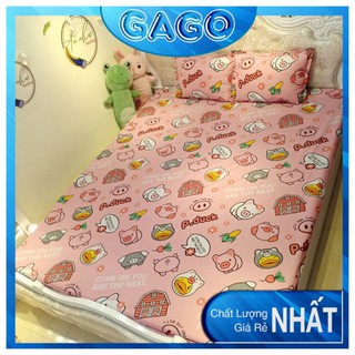 Ga gối poly, bộ ga gối drap giường, set 1 ga giường + 2 vỏ gối lợn nhố Gago