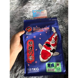 Cám cá Koi Porpoise