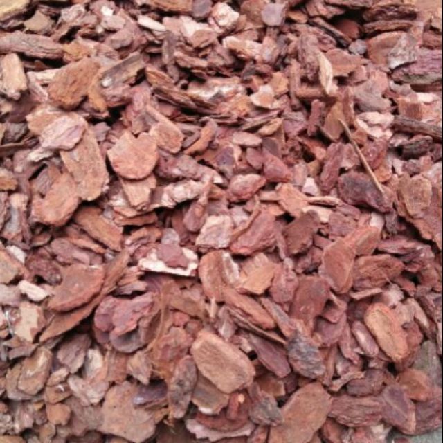 Vỏ thông đỏ băm size 3x4 (đã xử lý)