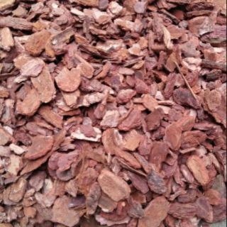 Vỏ thông đỏ băm size 3x4 (đã xử lý)