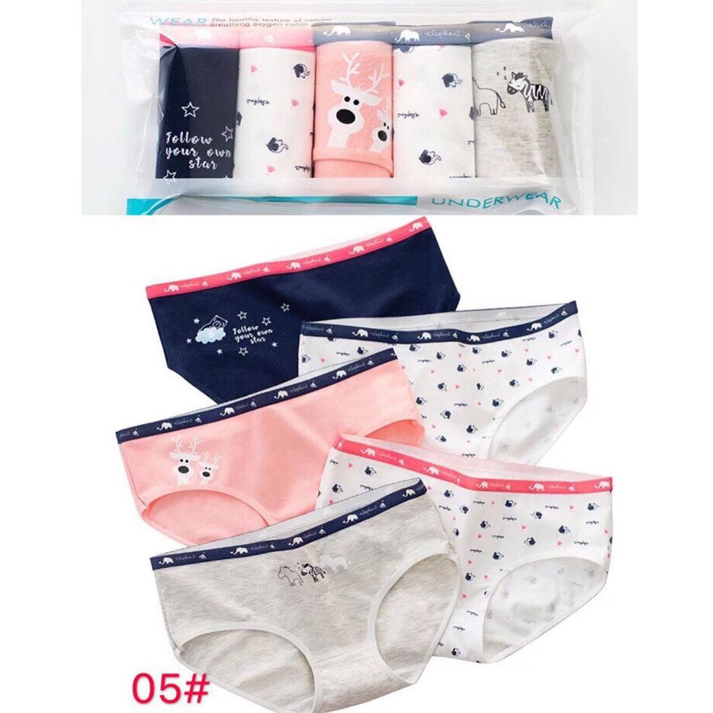 Sét 5 quần chíp cotton kháng khuẩn cao cấp mẫu mới size 42-58kg | BigBuy360 - bigbuy360.vn