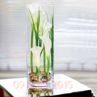 Bình thủy tinh cắm hoa 12 cao 40cm