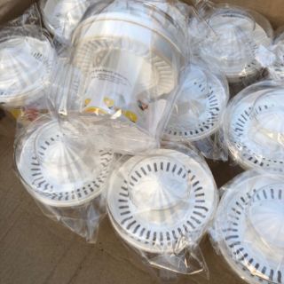 Vắt Cam Việt Nhật