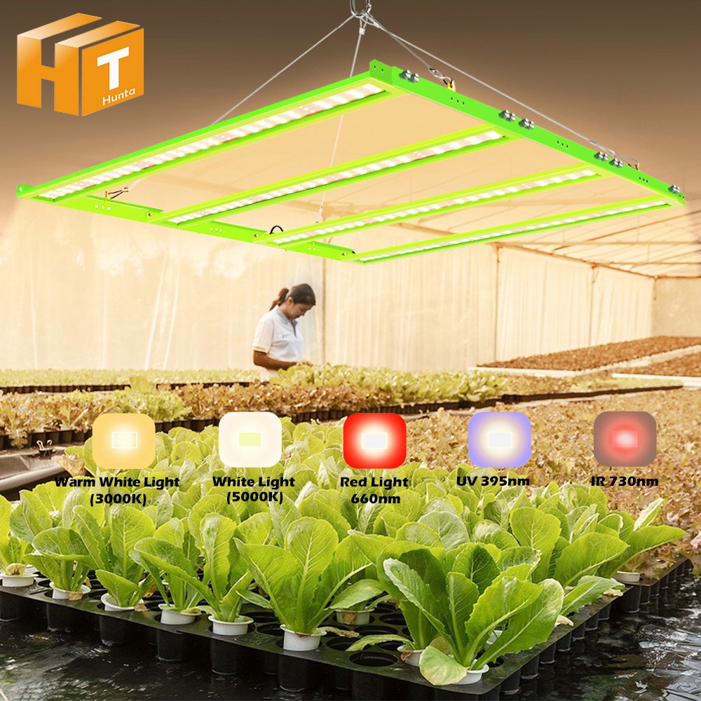 Đèn LED Kích Thích Tăng Trưởng Cho Cây Trồng Trong Nhà Samsung LM281B