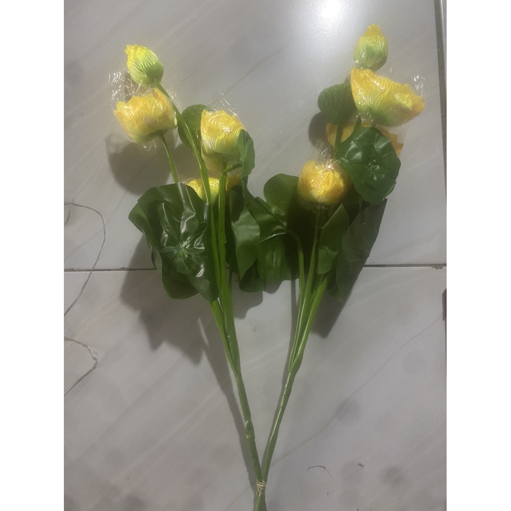 combo hoa sen lụa - hoa sen trang trí