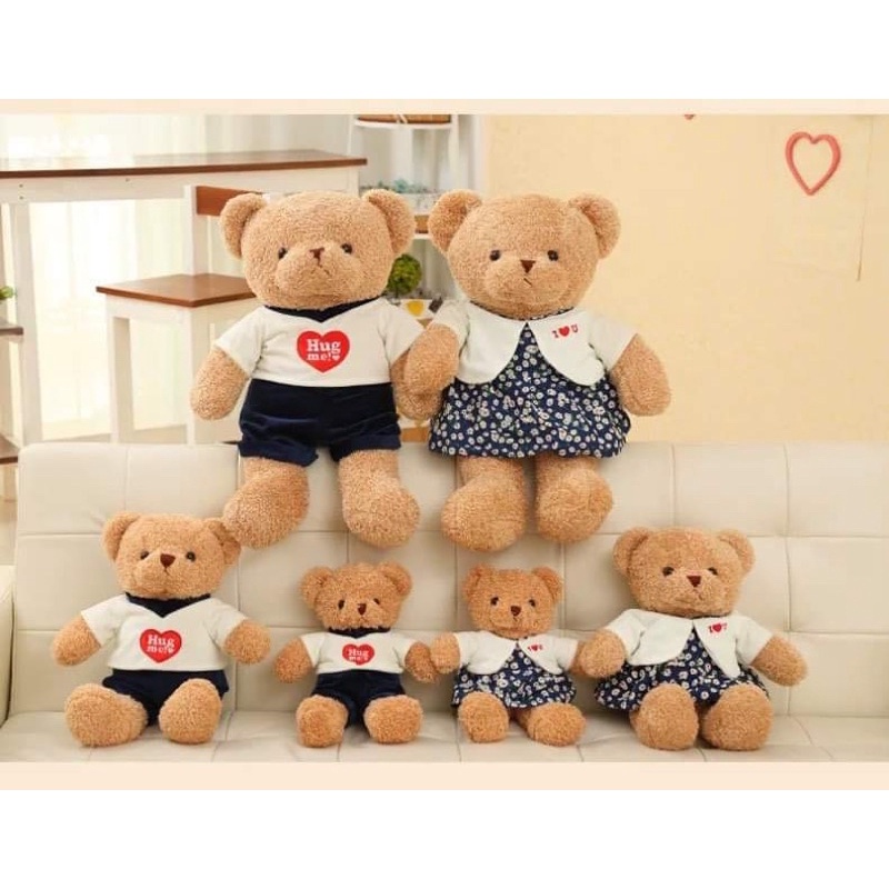 GẤU BÔNG TEDDY HUG ME ĐÔI NAM, NỮ