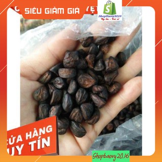 Hạt dổi nếp THƠM ĐẶC TRƯNG tây bắc, dùng thử (5 hạt)