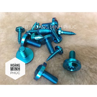 Bộ 10 ốc titan gr5 dàn áo vario