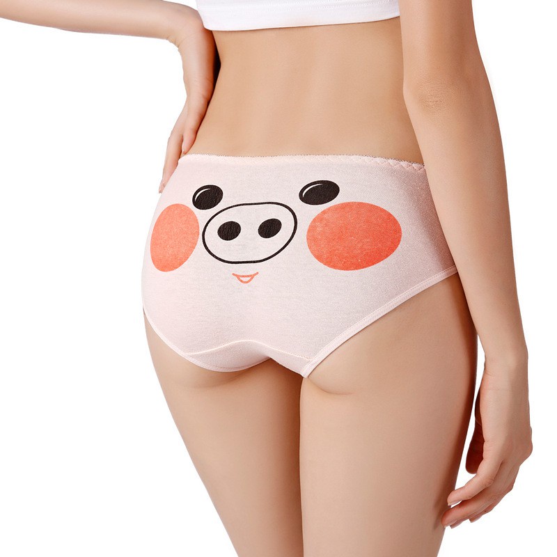 Set 5 Quần Lót Cotton Lưng Thấp In Họa Tiết Động Vật Hoạt Hình Đáng Yêu Cho Nữ | BigBuy360 - bigbuy360.vn