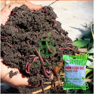Phân Trùn Quế LAVAMIX 2kg