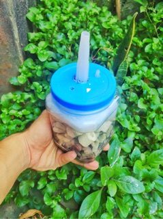 Lọc vi sinh tự chế lọc nước hồ cá