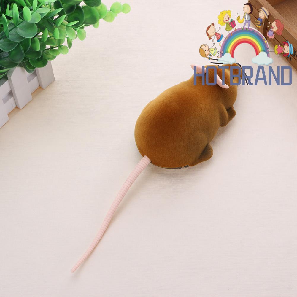 Chuột Điều Khiển Từ Xa Đồ Chơi Cho Mèo Cưng