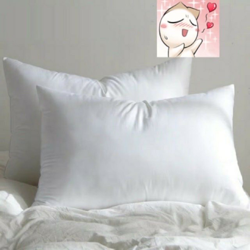 Ruột gối bông Gòn 2 chiếc