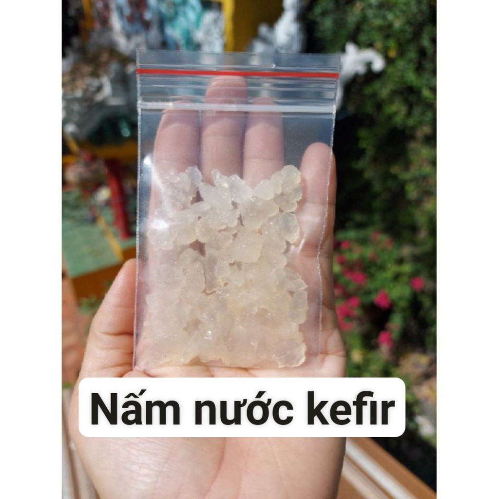 combo nấm nước kefir đầy đủ: Nấm 10g+ rây nhựa+ thìa nhựa+khăn xô+hũ nuôi 500ml+1 kg đường nuôi