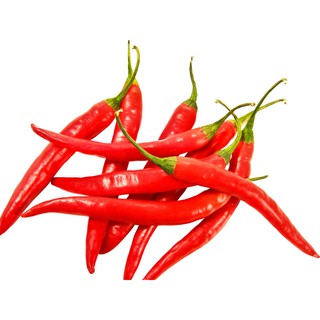 Gói 0.1g hạt giống ớt cay lai F1 Ấn Độ