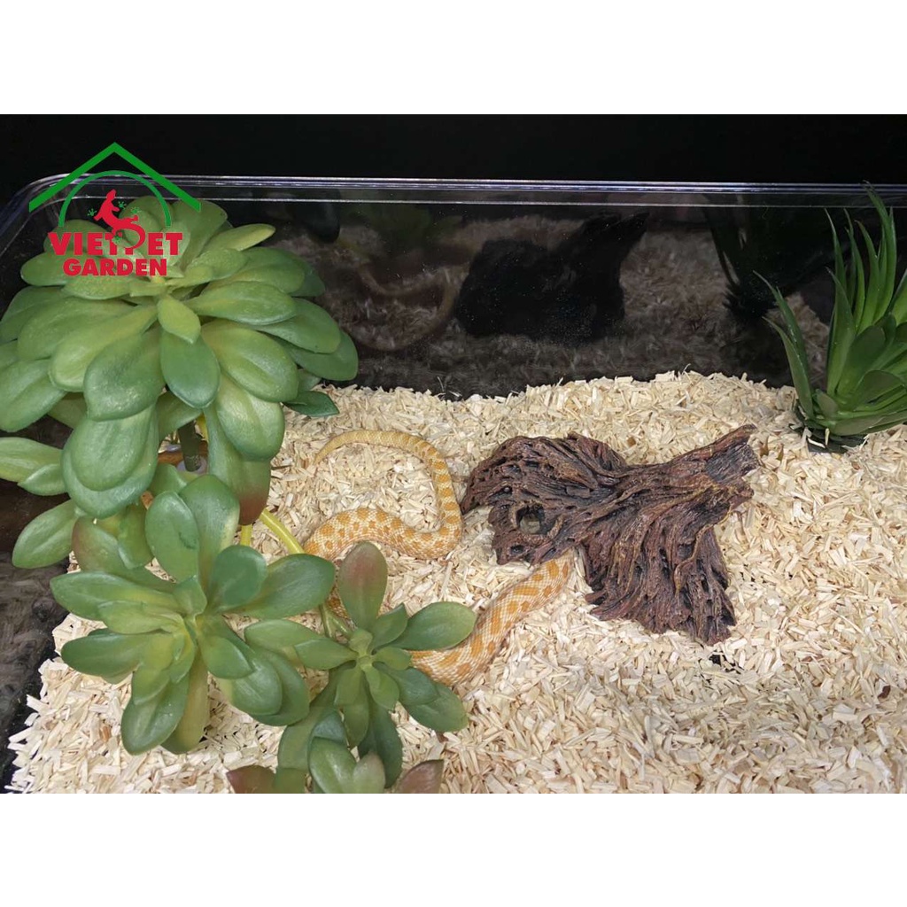 Lót nền chuyên dụng dành cho trăn rắn | Nomoy | Vietpetgarden