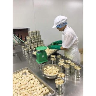 Vải Thiều Đóng Lon VIFOCO 565gr