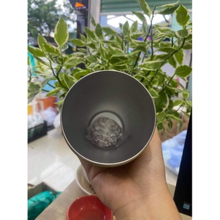 Bình nước giữ nhiệt Glucena 710ml