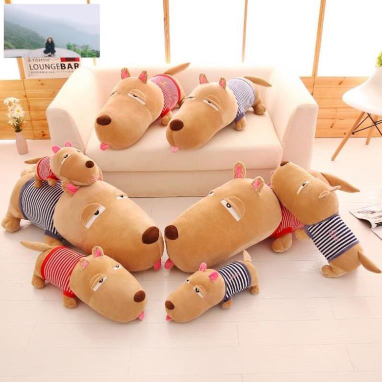 Gấu bông gối ôm chú chó puco hàng cao cấp nhiều kích thước