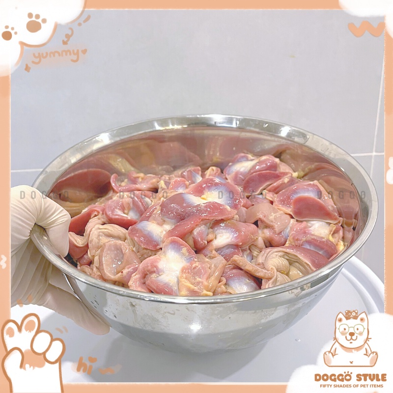Treat Bánh Thường Mề Gà Sấy Khô DOGGOSTYLE Homemade Gói 50G 100G Cung Cấp Protein Dinh Dưỡng Cho Chó