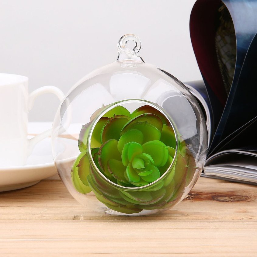 Bình trồng cây trong suốt hình bóng tròn đẹp mắt trang trí nội thất 8*8cm