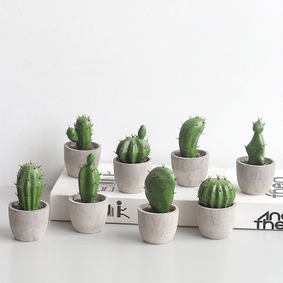 Chậu Cây Xương Rồng Giả - Kèm Chậu Giống Thật 99% Decor Để Bàn Học, Phụ Kiện Chụp Ảnh, Trang Trí Nhà Cửa, Sân Vườn