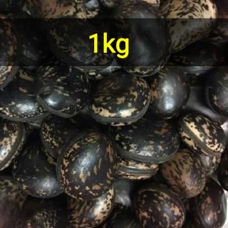 Hạt đậu lào - hạt rắn cắn . Giá rẻ hàng đẹp