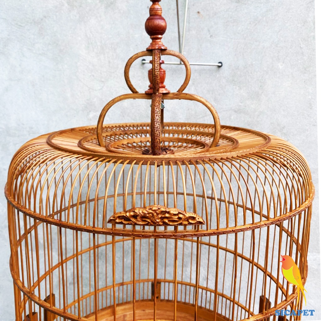 Lồng chim chòe than, chim chòe lửa, chim chích chòe, chim chào mào, Lồng nuôi chim chòe than, chim chòe lửa SICAPET